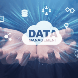Management de date